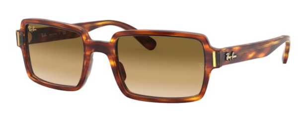 Ray Ban Benji