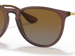 Ray Ban Erika