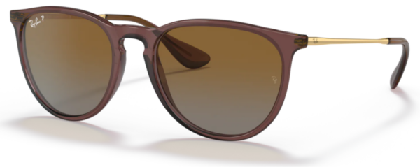Ray Ban Erika