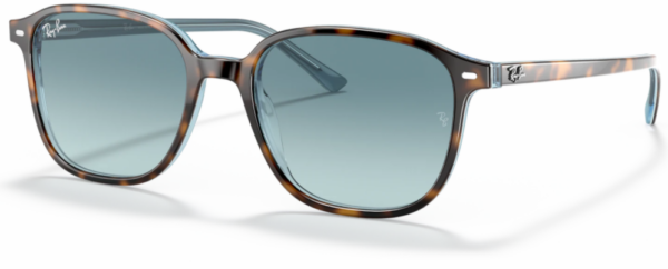 Ray Ban Leonard
