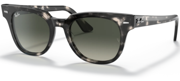 Ray Ban Meteor