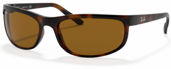 Ray Ban Predator
