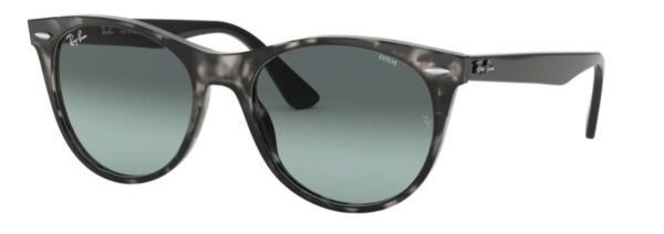 Ray Ban Wayfarer II Evolve